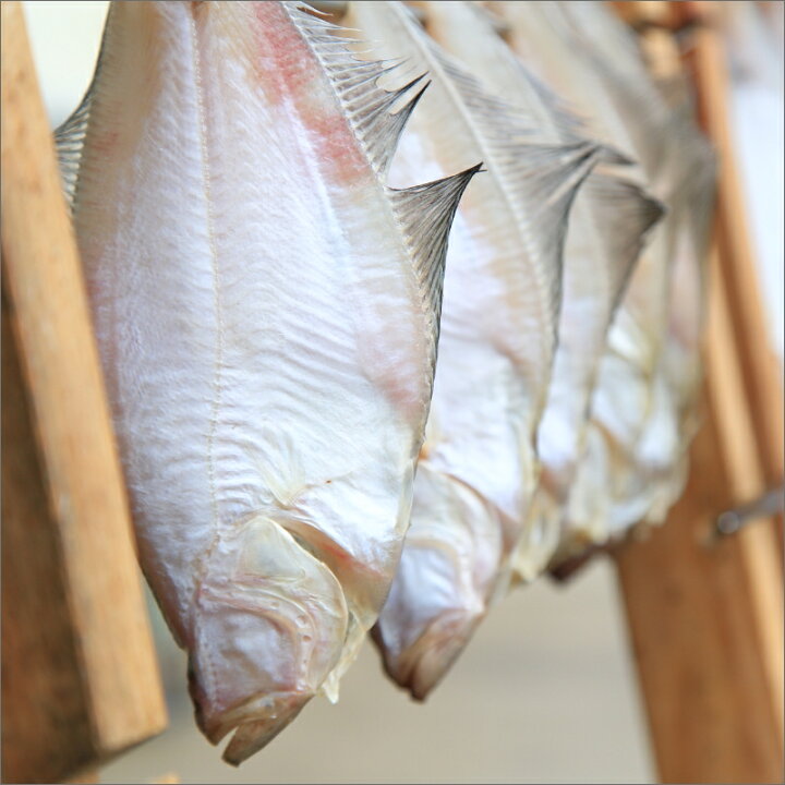 本物 地元魚屋セレクト海鮮BBQ ロブスター入り豪華8種 の干物 魚介セット fucoa.cl
