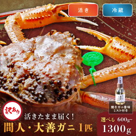 【ふるさと納税】訳あり【蟹の匠 魚政】京丹後市産 活きたまま届く！　間人ガニ大善ガニ 小サイズ 中サイズ 大サイズ 特大サイズ 1匹　香味ミスト付き　(2026年1月～発送)