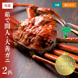 【ふるさと納税】【蟹の匠 魚政】京丹後市産 未冷凍 茹で間人ガニ大善ガニ 特撰 2匹セット 小サイズ 中サイズ 大サイズ 特大サイズ (11月～12月発送) (2027年1月～発送) 選べる 内容量 配送時期 松葉蟹 大善ガニ ボイル 松葉ガニ 蟹味噌 かにみそ かに 蟹 国産 海産物