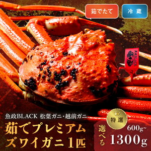 yӂ邳Ɣ[Łz]5.0 r[yȈ z䥂 v~AYCKj BLACKitKjEzOKjj TCYi600`700gj` TCYi1200`1300gj 1C (11`12