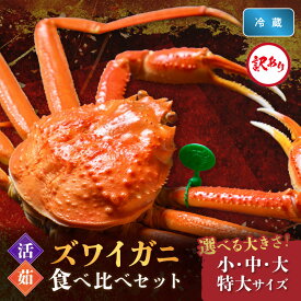 【ふるさと納税】訳あり【蟹の匠 魚政】京丹後産 ズワイガニ 食べ比べセット〈活×茹〉小サイズ 中サイズ 大サイズ 特大サイズ2杯入り　（2026年1月～3月発送）