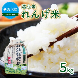 【ふるさと納税】米 コシヒカリ れんげ米 5kg ×1袋 そのべ産 温心米 2025年度産 お米 単一原料米 こしひかり 丹波 精米 白米 こめ コメ 京都