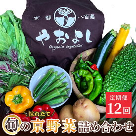 【ふるさと納税】野菜 定期便 12ヶ月 京都 丹波野菜 詰め合わせ セット 京都やおよし 有機野菜 京野菜 オーガニック 有機JAS 栽培期間中農薬不使用 野菜定期 定期 お楽しみ 12回 ※北海道・沖縄・離島への発送不可　【定期便・ 南丹市 】