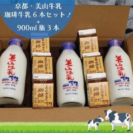 【ふるさと納税】牛乳 京都 美山牛乳 瓶 900ml ×3本 珈琲牛乳 200ml ×6本 詰め合わせ セット 美山町 お取り寄せ コーヒー牛乳 パック ※北海道・沖縄・離島への発送不可