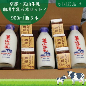 yӂ邳Ɣ[Łz  6 s R r 900ml ×3{ 苍 200ml ×6{ lߍ킹 Zbg R  R[q[ pbN  y 6 kCEEւ
