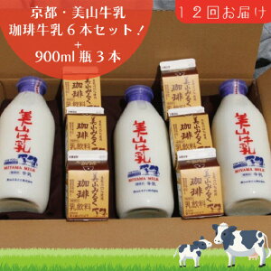 yӂ邳Ɣ[Łz  12 s R r 900ml ×3{ 苍 200ml ×6{ lߍ킹 Zbg R  R[q[ pbN  y 12 kCEEւ