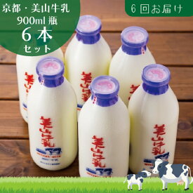 【ふるさと納税】牛乳 定期便 6ヶ月 京都 美山牛乳 瓶 900ml ×6本 セット 美山町 お取り寄せ 定期 お楽しみ 6回 ※北海道・沖縄・離島への発送不可