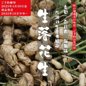 【ふるさと納税】落花生 京都 2026年 先行予約 生落花生 るり渓 大河内生産組合発 丹波 野菜 国産 ピーナッツ おつまみ 先行 ※北海道・沖縄・離島への発送不可  お届け:※2026年10月中旬よ