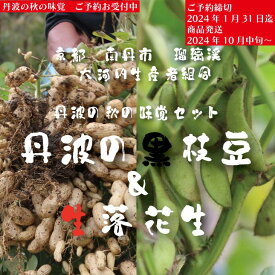 【ふるさと納税】枝豆 京都 2024年 先行予約 黒枝豆 生落花生 るり渓 大河内生産組合発 丹波 野菜 国産 生 落花生 おつまみ えだまめ エダマメ 先行 2024 ※北海道・沖縄・離島への発送不可　【 南丹市 】　お届け：※2024年10月中旬より発送いたします