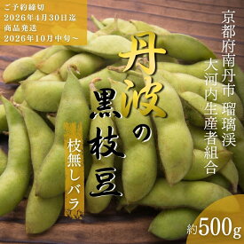 【ふるさと納税】枝豆 京都 2026年 先行予約 丹波黒枝豆 バラ 約500g るり渓 大河内生産組合発 丹波 野菜 国産 生 黒枝豆 おつまみ えだまめ エダマメ 先行 ※北海道・沖縄・離島への発送不可 　お届け：※2026年10月中旬より発送いたします