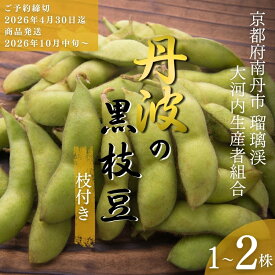 【ふるさと納税】枝豆 京都 2026年 先行予約 丹波の枝付き黒枝豆 るり渓 大河内生産組合発 丹波 野菜 国産 生 黒枝豆 おつまみ えだまめ エダマメ 先行 ※北海道・沖縄・離島への発送不可 　お届け：※2026年10月中旬より発送いたします