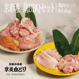 yӂ邳Ɣ[ŁzsE@ǂBBQƂɂZbg
