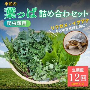 yӂ邳Ɣ[Łzy঒ޗpzG߂̗tϋlߍ킹y60TCY12R[Xz