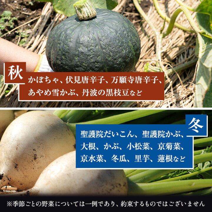 楽天市場】【ふるさと納税】＜京野菜の京都やおよし＞丹波野菜 