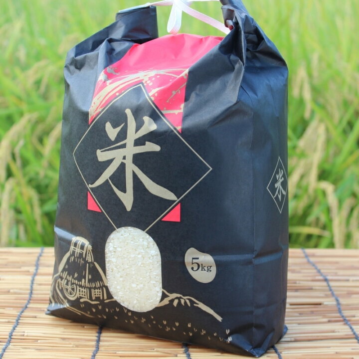 楽天市場】【ふるさと納税】令和6年産 キヌヒカリ 5kg 米 白米 精米 お 