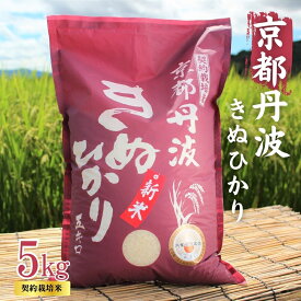【ふるさと納税】令和7年産 京都丹波産 きぬひかり 5kg 契約栽培米 白米 精米 お米 こめ コメ キヌヒカリ 令和7年 ご飯 ごはん 京都 京都府 南丹市 新米　お届け：寄附受付後20日で発送