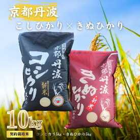 【ふるさと納税】令和7年産 こしひかり きぬひかり 10kg (5kg×2) 食べ比べセット 詰め合わせ 米 白米 精米 お米 こめ コメ コシヒカリ キヌヒカリ 食べ比べ セット 令和7年 ご飯 ごはん 京都 京都府 南丹市