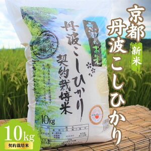 yӂ邳Ɣ[Łzߘa7NY sOgY Ђ 10kg _͔|     R RVqJ ߘa7N  ͂ s s{ Os V