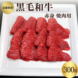 yӂ邳Ɣ[Łzs{Y јa Ԑg ē 300g