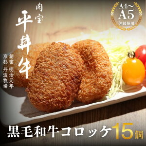 yӂ邳Ɣ[Łzōјa 䋍 RbP 15