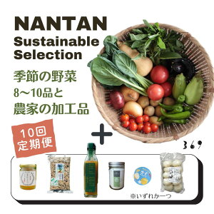 【ふるさと納税】Nantan Sustainable Selection 野菜と農家の加工品セット【10回定期便】