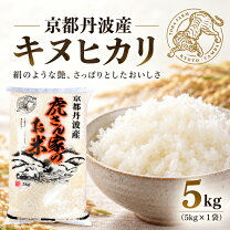 楽天市場】丹波キヌヒカリの通販