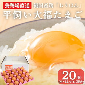 yӂ邳Ɣ[ŁzYn 啟܂ 20