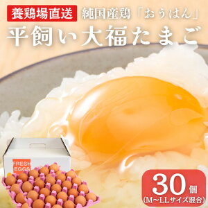 yӂ邳Ɣ[ŁzYn 啟܂ 30