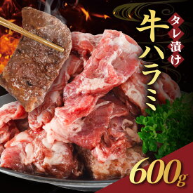 【ふるさと納税】【訳あり】 タレ漬け 牛ハラミ 600g 2P 肉 牛 牛肉 ハラミ 味付け タレ ハラミ肉 BBQ バーベキュー 焼き肉 焼肉 焼肉セット アウトドア キャンプ ギフト 真空 パック 小分け 300g 個包装 簡単 便利 冷凍 人気 京都 南丹市 神戸 ミートフーズ