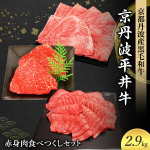 yӂ邳Ɣ[ŁzYјa ԐgHׂZbg 2.9kg Og䋍 sOgY