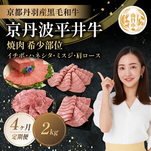 yӂ邳Ɣ[Łzy4ցzYјa ē 󏭕 v2kg C`{ nlV^ ~XW [X Og䋍