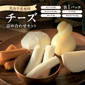 【ふるさと納税】美山牛乳 チーズ 詰め合わせセット | ストリング モッツァレラ スモーク ゴーダ カチョカバロ セット おつまみ 食べ比べ 乳製品 南丹市