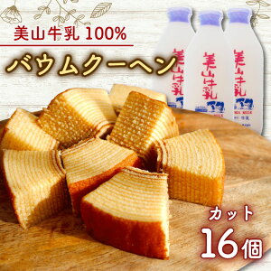 yӂ邳Ɣ[ŁzRgpo[N[w Jbg16@َq oEN[w XC[c s{ Os@͂F9{菇