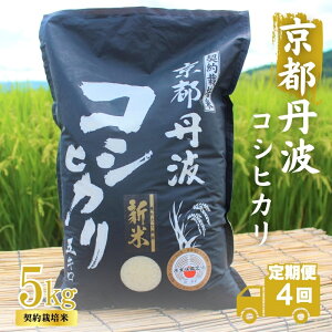yӂ邳Ɣ[Łzy4Jցzߘa7NY V sOgY Ђ 5kg v20kg