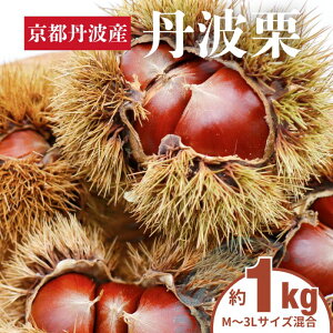 yӂ邳Ɣ[ŁzOgI 1kg M`3L TCY s OgY Os 嗱 I aI Y OgI