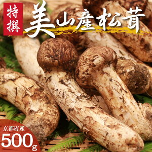 yӂ邳Ɣ[Łzʌ VR sOgY  500g ܂@͂F2025N10{`11{