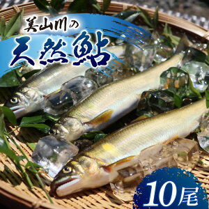 yӂ邳Ɣ[ŁzⓀ R̓VR 10C |   VR  싛  s Os