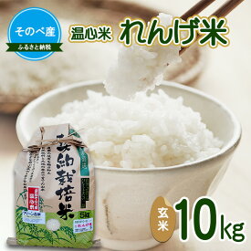 【ふるさと納税】れんげ米10kg 玄米×1 令和7年度産　そのべ産 温心米 お米 単一原料米 こしひかり 丹波 精米 玄米 こめ コメ 京都