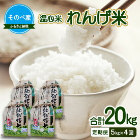 【ふるさと納税】【定期便】れんげ米5kg×4回　合計20kg 令和7年度産　そのべ産 温心米 お米 単一原料米 こしひかり 丹波 精米 白米 こめ コメ 京都