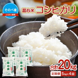 【ふるさと納税】【定期便】コシヒカリ5kg×4回　合計20kg　令和7年度産　のべ産 温心米 お米 20kg 単一原料米 こしひかり 丹波 精米 白米 こめ コメ 京都