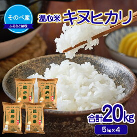 【ふるさと納税】キヌヒカリ20kg(5kg×4) 令和7年度産　そのべ産 温心米　米 20kg 単一原料米 きぬひかり 丹波 精米 白米 こめ コメ 京都