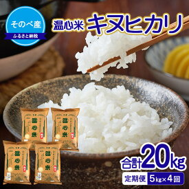 【ふるさと納税】【定期便】キヌヒカリ5kg×4回　合計20kg　令和7年度産　そのべ産 温心米　米 20kg 単一原料米 きぬひかり 丹波 精米 白米 こめ コメ 京都