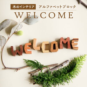 yӂ邳Ɣ[ŁzAt@xbgubN WELCOME@Ȗ؂̃CeA@ؐubN u nhCh ؂̂arumitoy