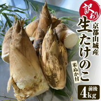 楽天市場】たけのこ山城の通販