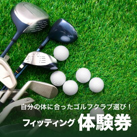 【ふるさと納税】 ＜京都 木津川市＞フィッティング券 チケット 試打 体験 ゴルフ クラブ レフティー可能 予約制 TOMMY GOLF FACTOY