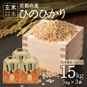 yӂ邳Ɣ[Łz ʍ͔|ā ߘa6NY s{ؒÐsY Ђ̂Ђ 15kg(5kg×3) 萸 5Â qmqJ   R  ͂ 2024N S S s Y  sr