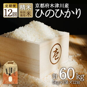 yӂ邳Ɣ[Łz yĒցzs{ؒÐsYЂ̂Ђ  Iׂ񐔁Ee(20kgE30kgE60kg) ̌N(ʍ͔|)  qmqJ   R  ͂ 2024N S S 