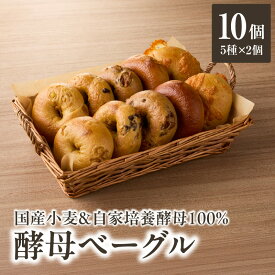 【ふるさと納税】 国産小麦＆自家培養酵母100％　酵母ベーグル5種×2個 パン ベーグル 身体にやさしい 自然素材 素朴 セット おやつ 朝食 国産 酵母 プレーン チョコ チーズ 胡桃 オレンジ 風味 食感 もちもち もっちり 食べ応え 冷凍 朝食 おやつ