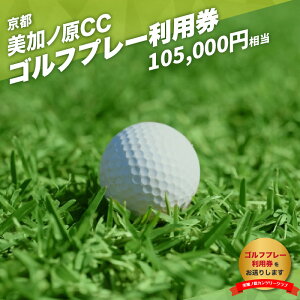 yӂ邳Ɣ[Łz mJc[Nu Stv[p Iׂzi3,000~`105,000~) mJc[Nu St p `Pbg i m{ n RR[