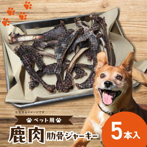 yӂ邳Ɣ[ŁzpW[L[i]W[L[j 5{ p]W[L[ AQ  Ck ̂ pW[L[   ]W[L[  ؒÐsY̎ W